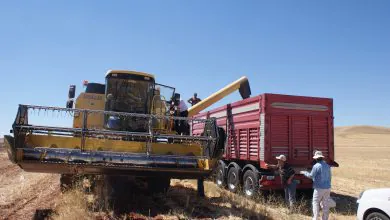 Aspir’e müthiş destek - Kırıkkale Haber, Son Dakika Kırıkkale Haberleri