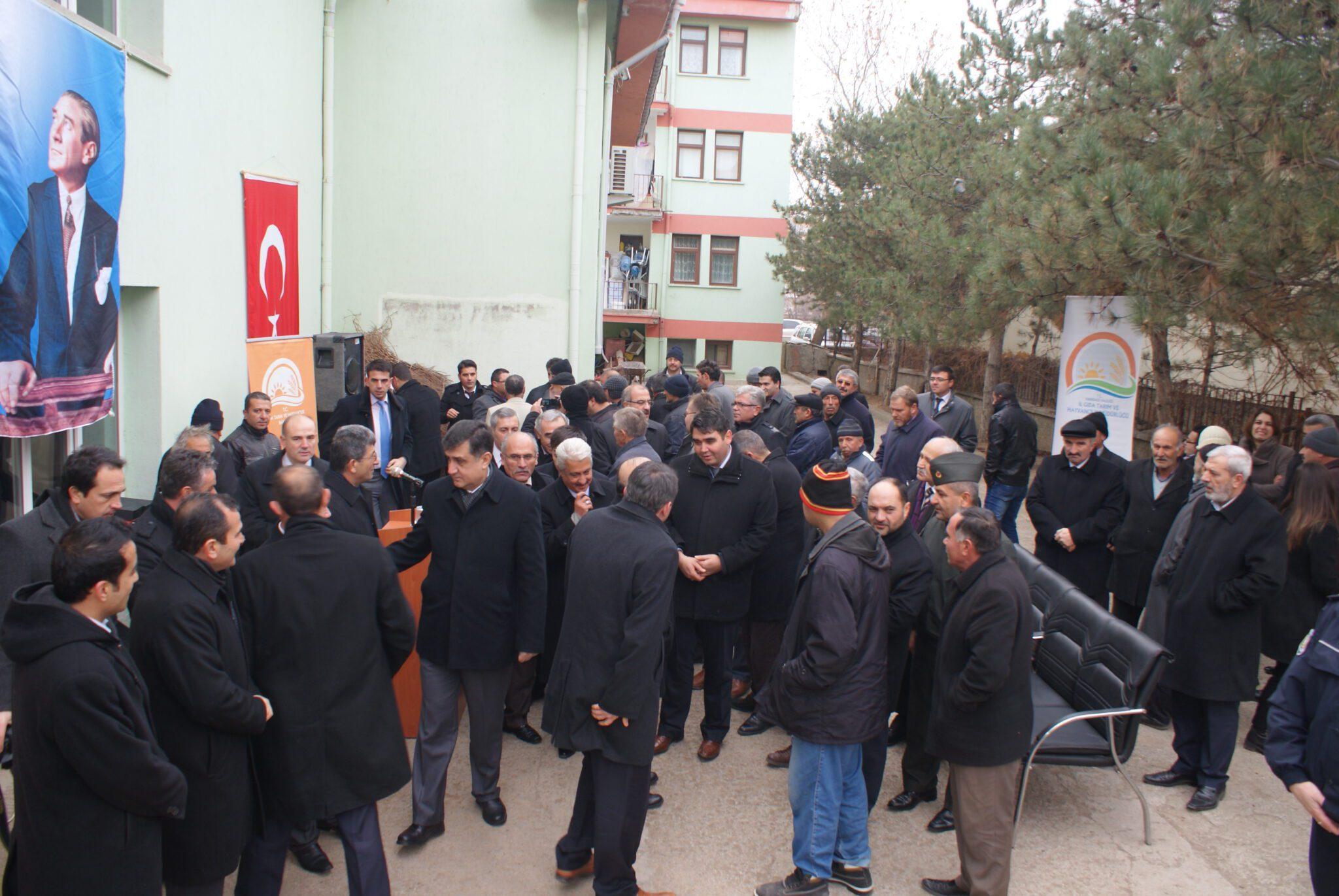 Aşılı asma fidanı dağıtıldı - Kırıkkale Haber, Son Dakika Kırıkkale Haberleri