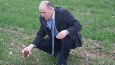 Yağışlar yüz güldürdü - Kırıkkale Haber, Son Dakika Kırıkkale Haberleri