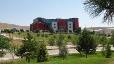 Üniversite güvenliği davalık - Kırıkkale Haber, Son Dakika Kırıkkale Haberleri Üniversite güvenliği davalık - Kırıkkale Haber, Son Dakika Kırıkkale Haberleri