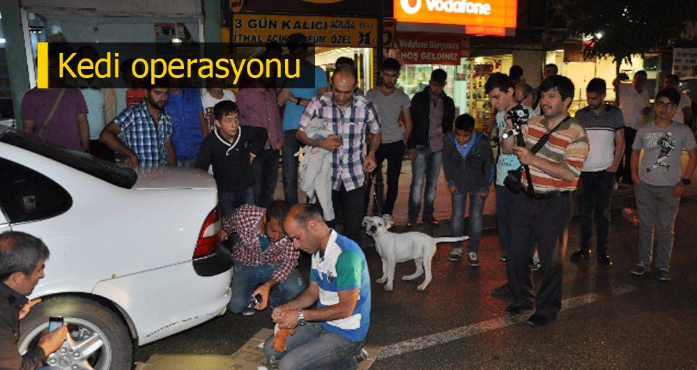 Dönerle kedi kurtarma operasyonu - Kırıkkale Haber, Son Dakika Kırıkkale Haberleri Dönerle kedi kurtarma operasyonu - Kırıkkale Haber, Son Dakika Kırıkkale Haberleri
