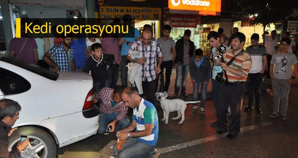Dönerle kedi kurtarma operasyonu - Kırıkkale Haber, Son Dakika Kırıkkale Haberleri Dönerle kedi kurtarma operasyonu - Kırıkkale Haber, Son Dakika Kırıkkale Haberleri