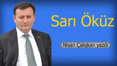 Sarı Öküz (1) - Kırıkkale Haber, Son Dakika Kırıkkale Haberleri Sarı Öküz (1) - Kırıkkale Haber, Son Dakika Kırıkkale Haberleri