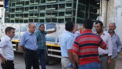 Keskinde Çiftçilere 4 bin tavuk dağıtıld - Kırıkkale Haber, Son Dakika Kırıkkale Haberleri