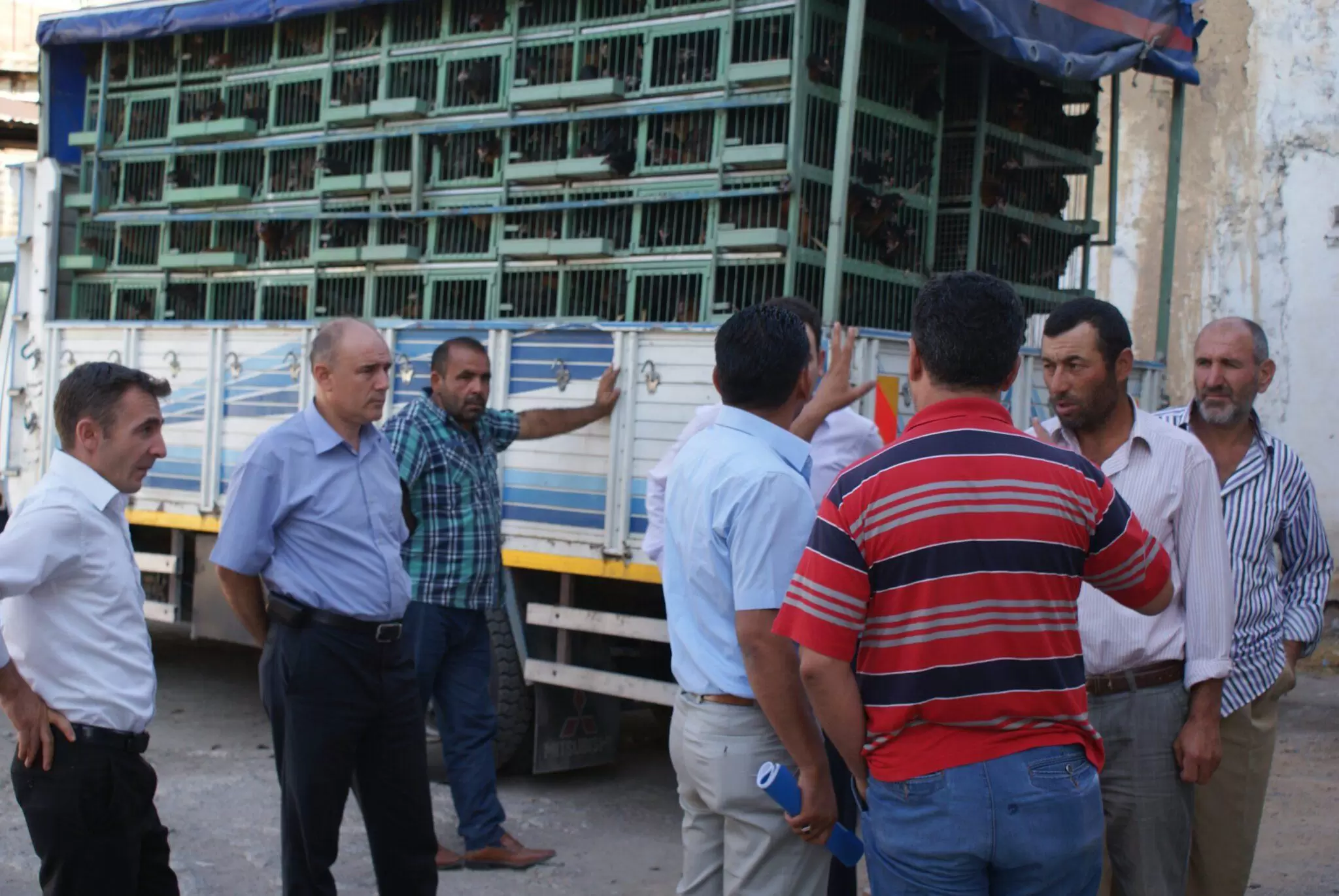 Keskinde Çiftçilere 4 bin tavuk dağıtıld - Kırıkkale Haber, Son Dakika Kırıkkale Haberleri Keskinde Çiftçilere 4 bin tavuk dağıtıld - Kırıkkale Haber, Son Dakika Kırıkkale Haberleri