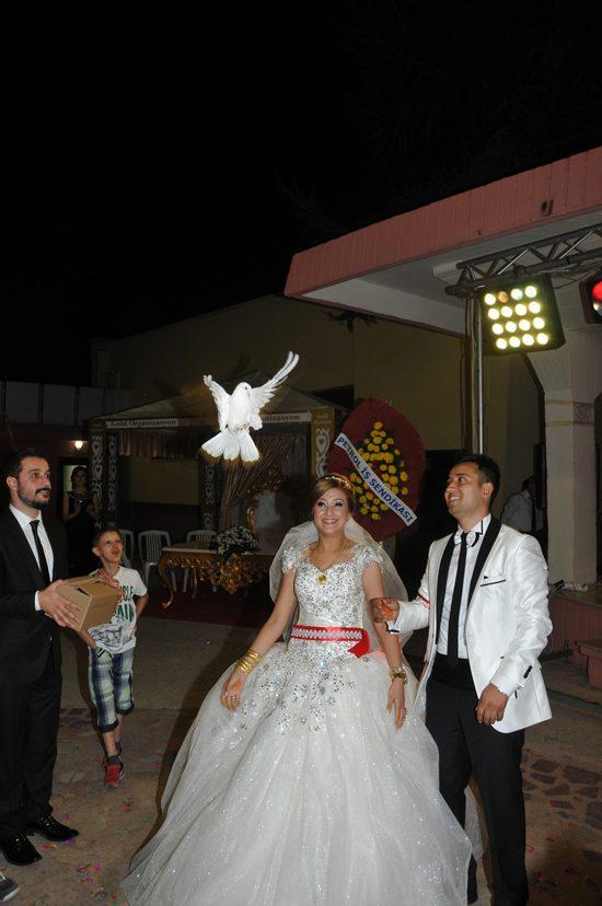 Yahşi, dünya evine girdi - Kırıkkale Haber, Son Dakika Kırıkkale Haberleri Yahşi, dünya evine girdi - Kırıkkale Haber, Son Dakika Kırıkkale Haberleri