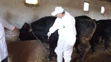 Aşı yaptırmayana 6 bin lira ceza - Kırıkkale Haber, Son Dakika Kırıkkale Haberleri