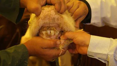 Bu uyarıları dikkate alın! - Kırıkkale Haber, Son Dakika Kırıkkale Haberleri