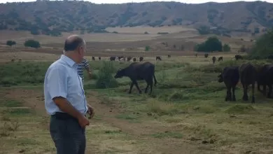 Yatırımcı ilgi göstermiyor - Kırıkkale Haber, Son Dakika Kırıkkale Haberleri