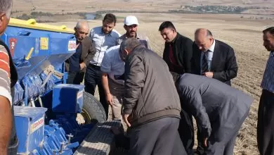 Anıza Yem Bitkisi Ekildi - Kırıkkale Haber, Son Dakika Kırıkkale Haberleri Anıza Yem Bitkisi Ekildi - Kırıkkale Haber, Son Dakika Kırıkkale Haberleri