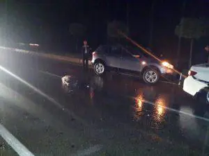 Hasandede'de domuz sürüsü kaza yaptırdı - Kırıkkale Haber, Son Dakika Kırıkkale Haberleri