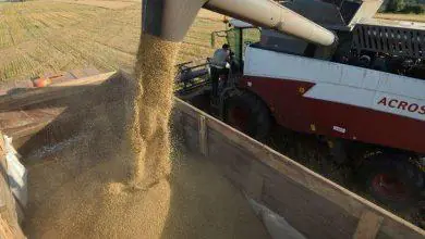 27,8 milyon dekar arazi yok oldu - Kırıkkale Haber, Son Dakika Kırıkkale Haberleri