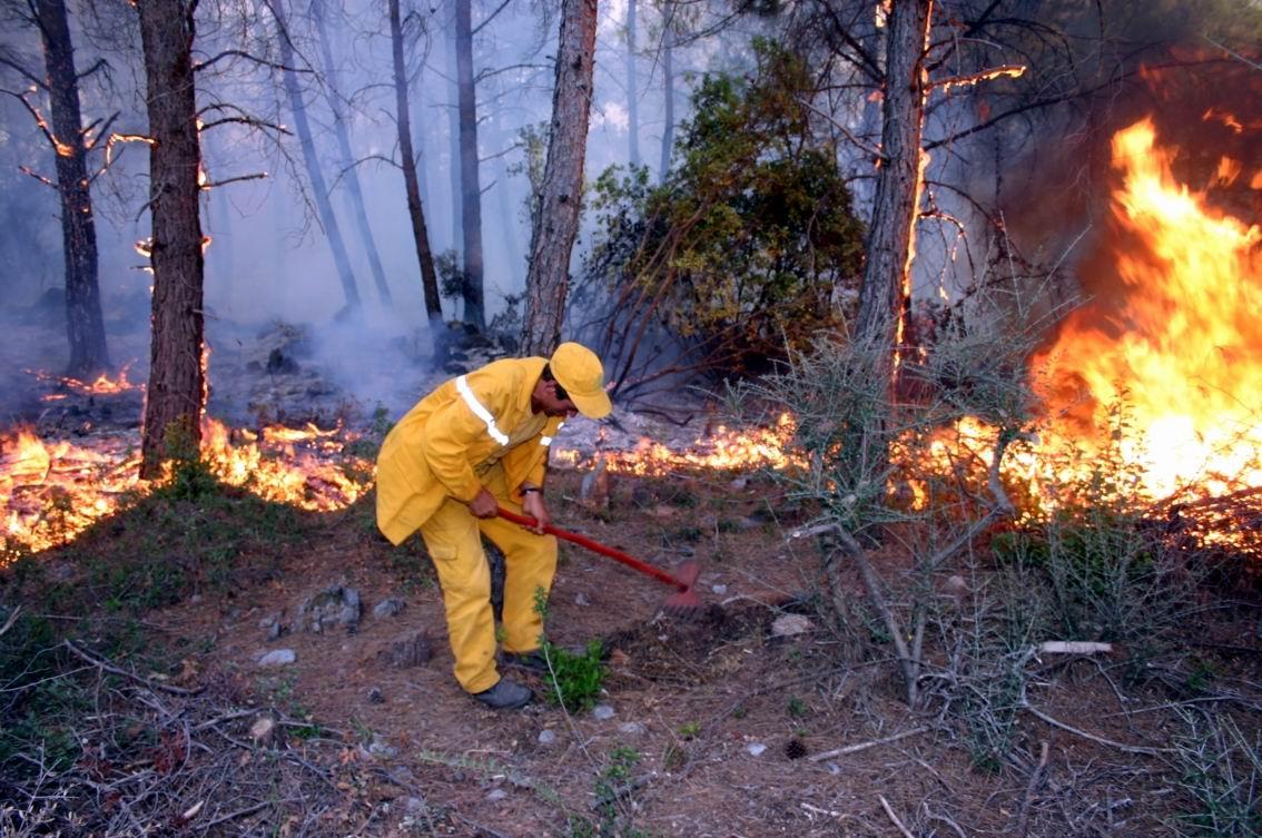 Kırıkkale’de 31 orman yangını çıktı - Kırıkkale Haber, Son Dakika Kırıkkale Haberleri