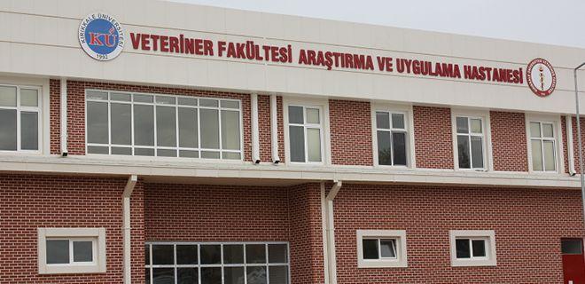Fakülteden kuduz açıklaması - Kırıkkale Haber, Son Dakika Kırıkkale Haberleri Fakülteden kuduz açıklaması - Kırıkkale Haber, Son Dakika Kırıkkale Haberleri