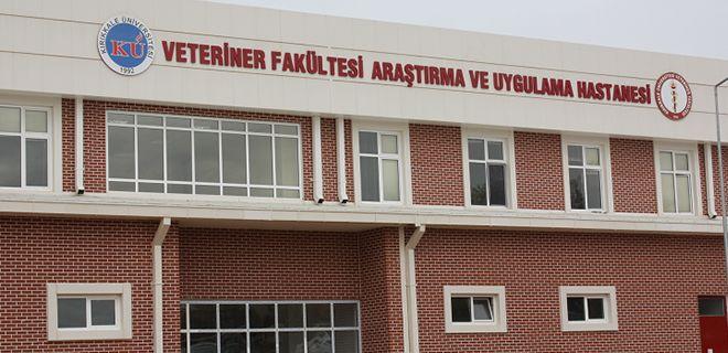 Fakülteden kuduz açıklaması - Kırıkkale Haber, Son Dakika Kırıkkale Haberleri