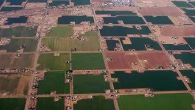 Dikkat! 6 AYA KADAR SÜRESİ VAR - Kırıkkale Haber, Son Dakika Kırıkkale Haberleri