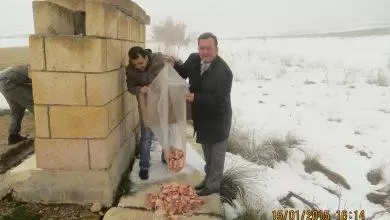 Yaban hayatı koruma altında - Kırıkkale Haber, Son Dakika Kırıkkale Haberleri