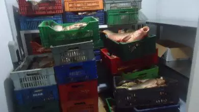 Olta balıkçılarına ceza yağdı - Kırıkkale Haber, Son Dakika Kırıkkale Haberleri