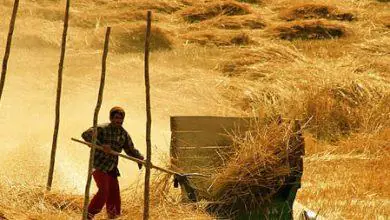 Ölü çiftçiye kredi verilmiş - Kırıkkale Haber, Son Dakika Kırıkkale Haberleri