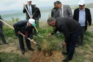 Önce fidan, sonra asfalt - Kırıkkale Haber, Son Dakika Kırıkkale Haberleri