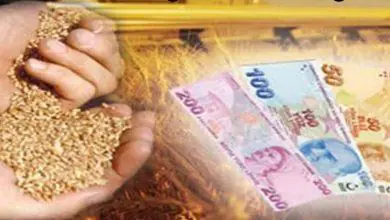 PRİM DESTEĞİ ÖDEMESİ BAŞLADI - Kırıkkale Haber, Son Dakika Kırıkkale Haberleri