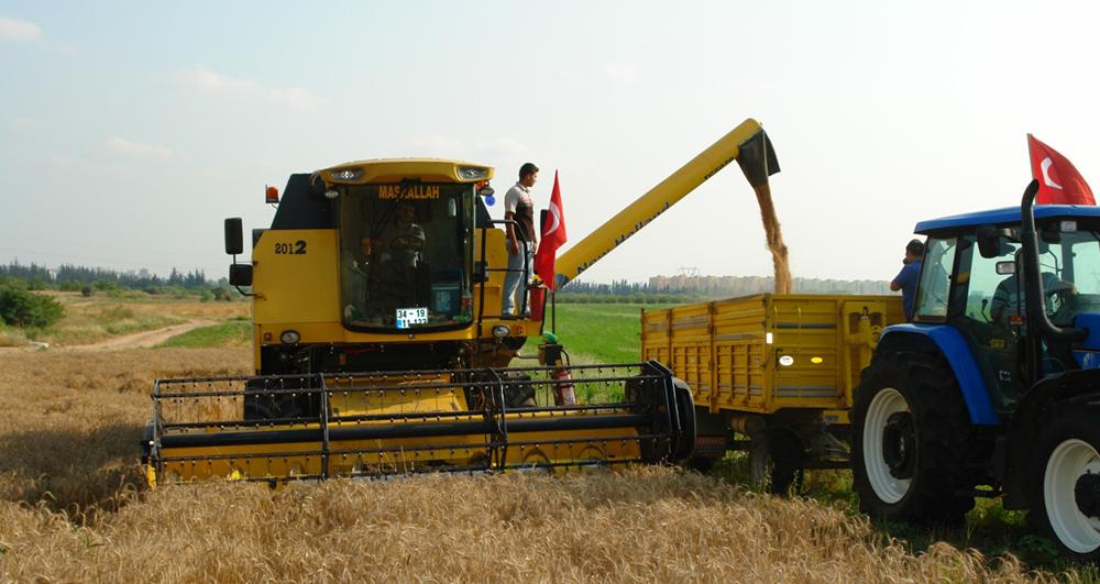 BUĞDAYDA REKOLTE BEKLENTİSİ YÜKSEK - Kırıkkale Haber, Son Dakika Kırıkkale Haberleri