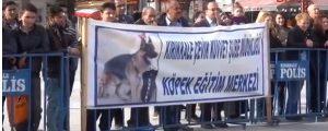 Polis köpeklerinden nefes kesen gösteri - Kırıkkale Haber, Son Dakika Kırıkkale Haberleri