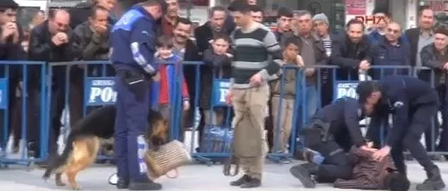 Polis köpeklerinden nefes kesen gösteri - Kırıkkale Haber, Son Dakika Kırıkkale Haberleri