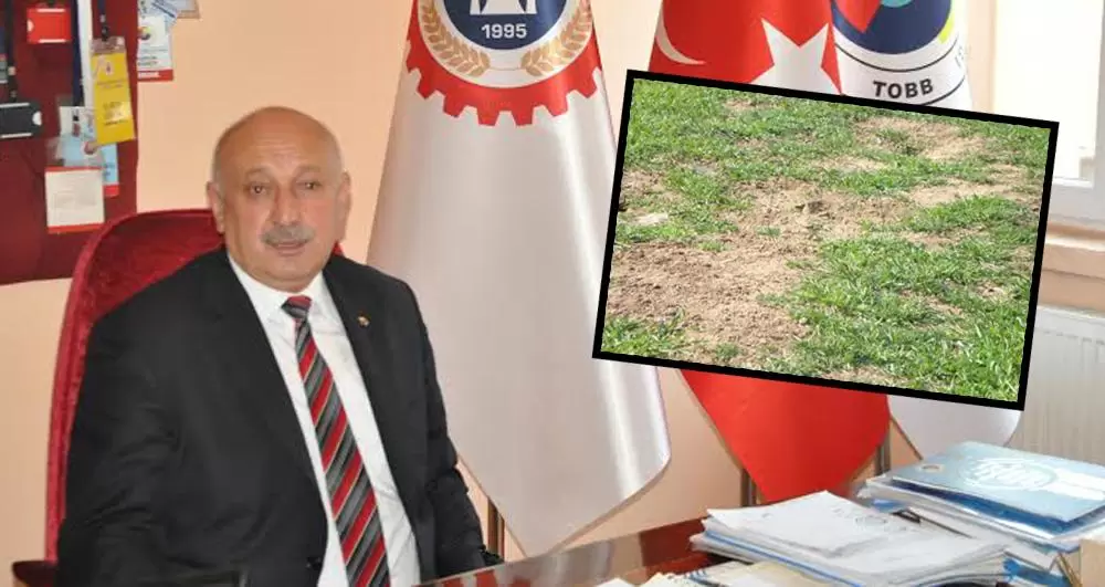 Fare uyarısı - Kırıkkale Haber, Son Dakika Kırıkkale Haberleri Fare uyarısı - Kırıkkale Haber, Son Dakika Kırıkkale Haberleri