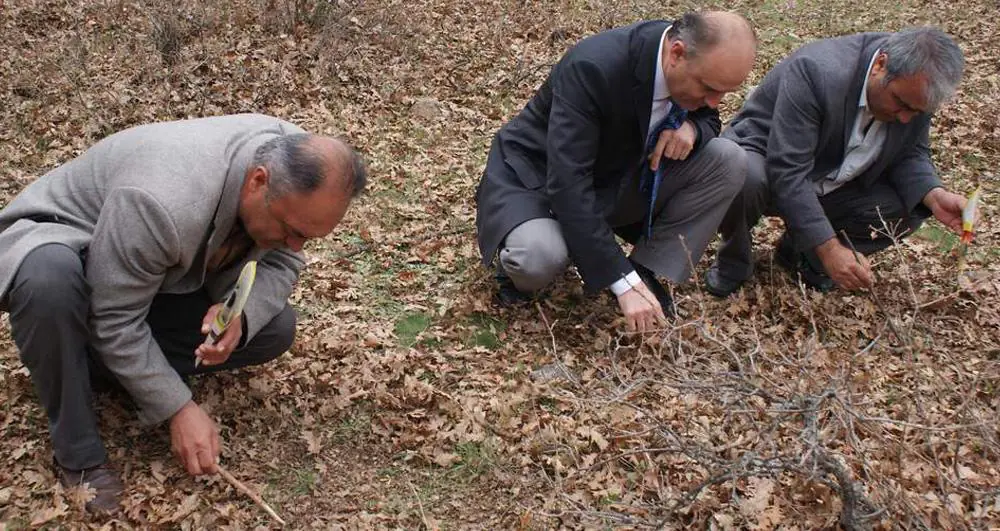 SÜNE MÜCADELESİNE 6 EKİPLE BAŞLANDI - Kırıkkale Haber, Son Dakika Kırıkkale Haberleri