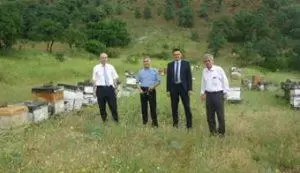 Bal artışı bekleniyor - Kırıkkale Haber, Son Dakika Kırıkkale Haberleri Bal artışı bekleniyor - Kırıkkale Haber, Son Dakika Kırıkkale Haberleri