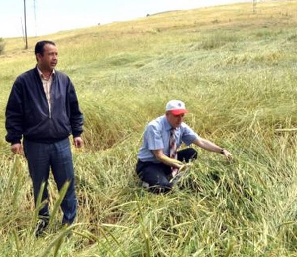 50 bin hektar alanda çalışmalar sürüyor - Kırıkkale Haber, Son Dakika Kırıkkale Haberleri