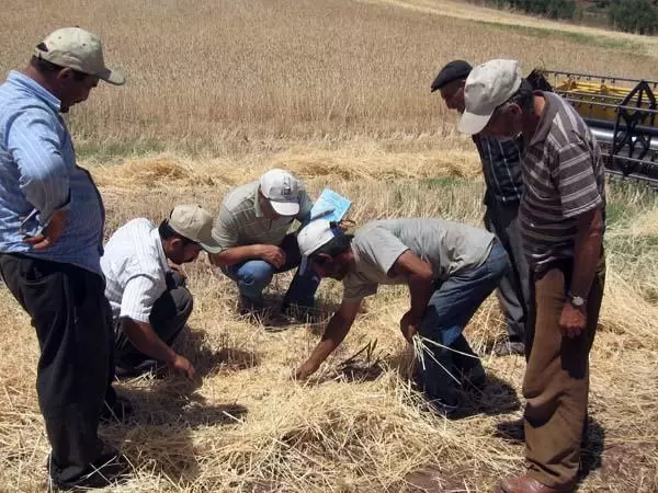 Hedef yüzde üç ürün kaybı - Kırıkkale Haber, Son Dakika Kırıkkale Haberleri
