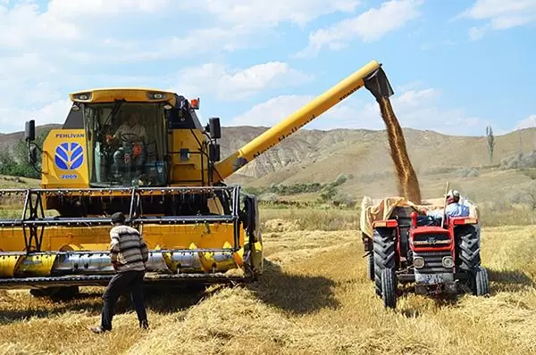 57 bin ton hububat alındı  - Kırıkkale Haber, Son Dakika Kırıkkale Haberleri