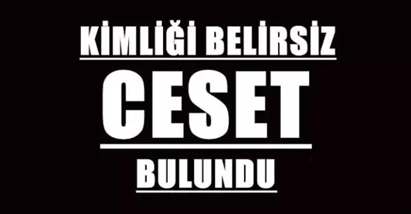 Kimliksiz ceset bulundu - Kırıkkale Haber, Son Dakika Kırıkkale Haberleri Kimliksiz ceset bulundu - Kırıkkale Haber, Son Dakika Kırıkkale Haberleri