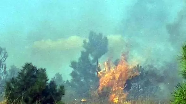 Yaban güvercini yangına sebep oldu - Kırıkkale Haber, Son Dakika Kırıkkale Haberleri Yaban güvercini yangına sebep oldu - Kırıkkale Haber, Son Dakika Kırıkkale Haberleri