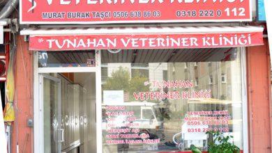 Öz Tunahan Veteriner Kliniği hizmette - Kırıkkale Haber, Son Dakika Kırıkkale Haberleri