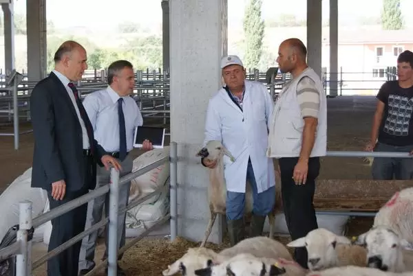 Kurbanlık alırken dikkat edilecek hususlar - Kırıkkale Haber, Son Dakika Kırıkkale Haberleri Kurbanlık alırken dikkat edilecek hususlar - Kırıkkale Haber, Son Dakika Kırıkkale Haberleri