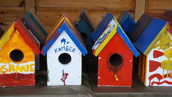Öğrenciler, kedi ve kuş evi yaptı - Kırıkkale Haber, Son Dakika Kırıkkale Haberleri