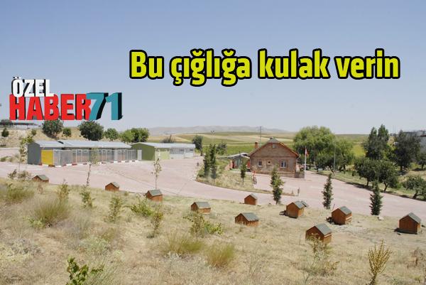 Bu çığlığa kulak verin - Kırıkkale Haber, Son Dakika Kırıkkale Haberleri