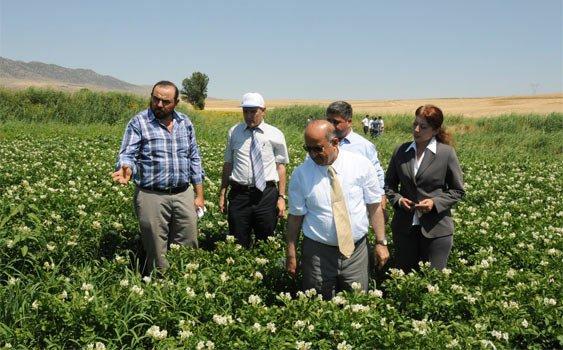 Çiftçinin yüzü güldü - Kırıkkale Haber, Son Dakika Kırıkkale Haberleri