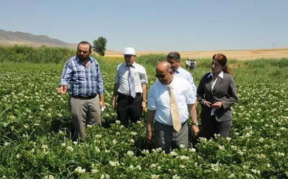 Çiftçinin yüzü güldü - Kırıkkale Haber, Son Dakika Kırıkkale Haberleri