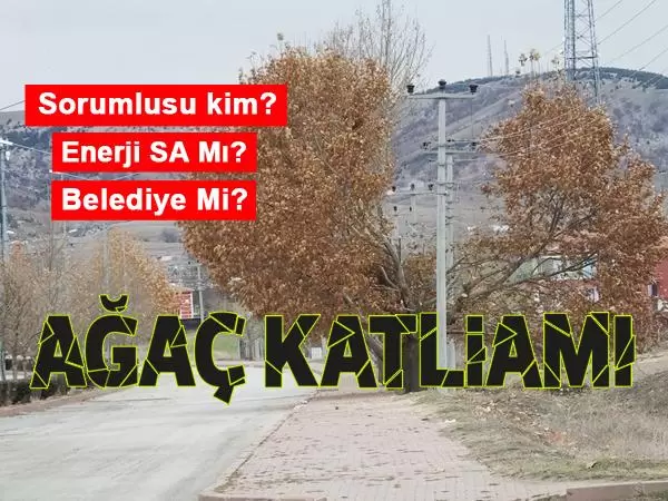 Ağaç Katliamı - Kırıkkale Haber, Son Dakika Kırıkkale Haberleri Ağaç Katliamı - Kırıkkale Haber, Son Dakika Kırıkkale Haberleri