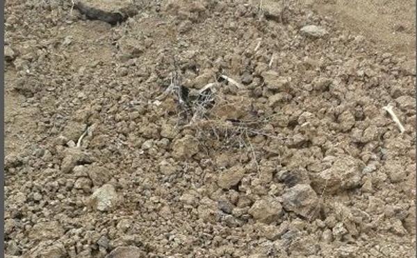 İnsan kemiği bulundu - Kırıkkale Haber, Son Dakika Kırıkkale Haberleri