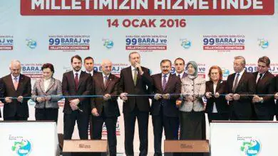 Ekonomiye katkısı 8 Milyon - Kırıkkale Haber, Son Dakika Kırıkkale Haberleri