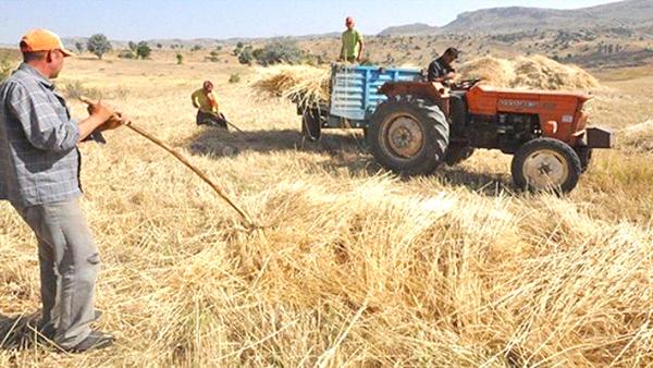 KDV indirimi çiftçinin yüzünü güldürdü - Kırıkkale Haber, Son Dakika Kırıkkale Haberleri