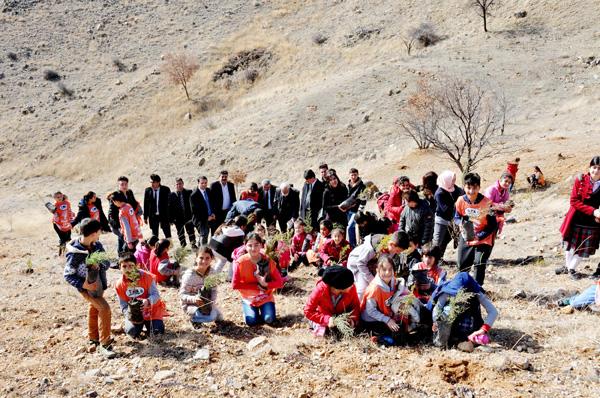 Fidanlar toprakla buluştu - Kırıkkale Haber, Son Dakika Kırıkkale Haberleri