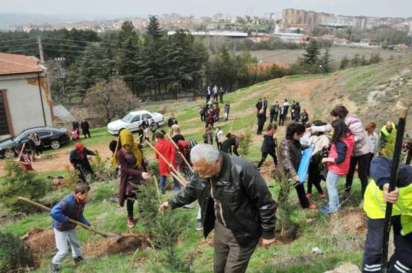 Bahar için ağaç diktiler - Kırıkkale Haber, Son Dakika Kırıkkale Haberleri Bahar için ağaç diktiler - Kırıkkale Haber, Son Dakika Kırıkkale Haberleri