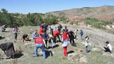 Kadın Girişimciler fidanları toprakla buluşturdu - Kırıkkale Haber, Son Dakika Kırıkkale Haberleri Kadın Girişimciler fidanları toprakla buluşturdu - Kırıkkale Haber, Son Dakika Kırıkkale Haberleri