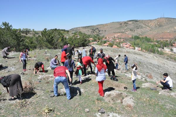 Kadın Girişimciler fidanları toprakla buluşturdu - Kırıkkale Haber, Son Dakika Kırıkkale Haberleri